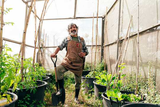 Farmer senior man working in his farm and greenhouse. Concept about agriculture, farn industry, and healthy lifestyle during seniority age