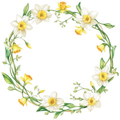 Fototapeta premium Elegant Daffodils Flower Clipart Vector Illustration