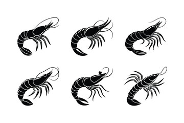 set of black and white birds