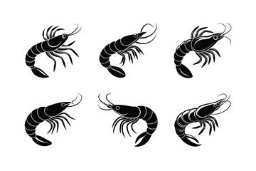 set of black and white birds