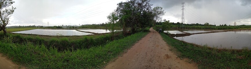 Majestic Landscapes of Sri Lanka. Breathtaking Beauty Capturing the Serene Essence of Nature in Stunning Landscapes. A Journey Through Picturesque Nature Landscapes. The beauty of Nature’s Landscape