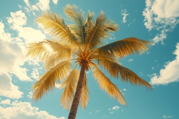 Tropical palm tree swaying in the sunny sky