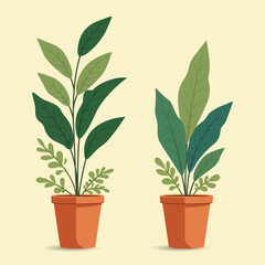 illustration of indoor plants in pots