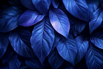 Fototapeta premium Green and Blue Neon Light with Tropical Leaves