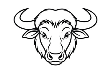 head of a bull