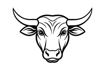 head of a bull