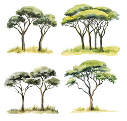 Set of Four Watercolor Safari Trees - Beautiful Summer trees featuring soft green tones and realistic details, ideal for nature-themed designs and artistic projects