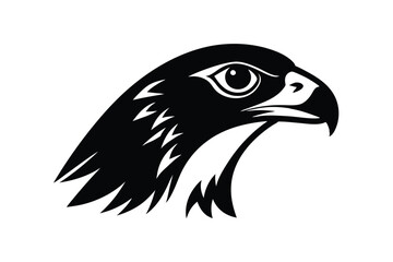 head of eagle