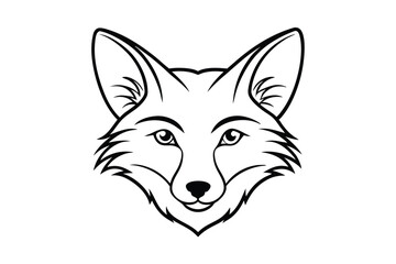 Obraz premium red fox head