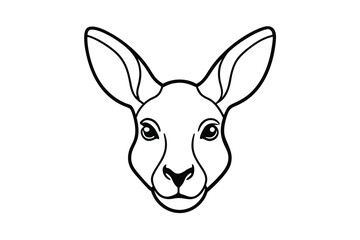 head of donkey