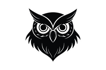 owl head on white background