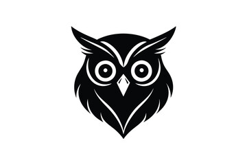 owl head on white background