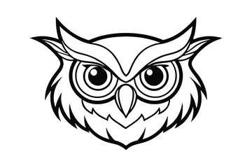 owl head on white background