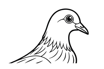 illustration of a bird head