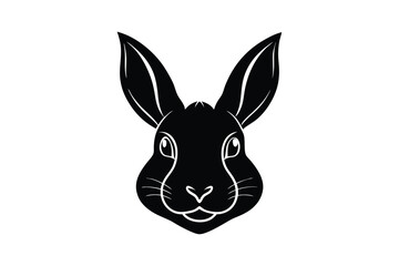 rabbit head isolated on white