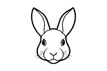 Obraz premium rabbit head isolated on white