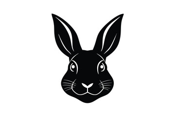 rabbit head isolated on white