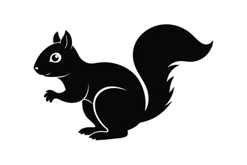 squirrel on a branch