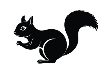 squirrel on a branch
