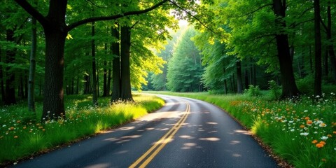 Fototapeta premium Scenic winding road through a lush green forest with vibrant wildflowers lining the way, bathed in sunlight