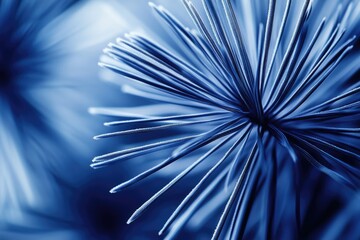 Fototapeta premium Close-up of frost-covered blue plant, radiating lines creating abstract art.