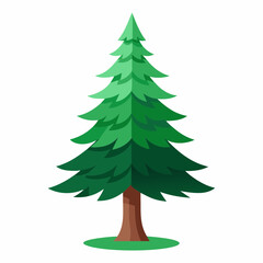 christmas tree isolated on white