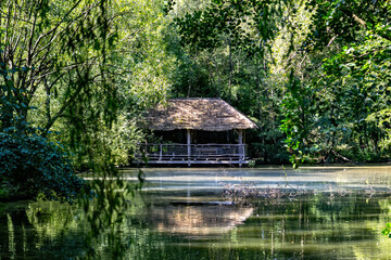 Fototapeta premium A wooden hut with a thatched roof stands in the forest in a tropical jungle above the water surface of a lake.