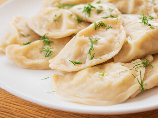 Delicious vegetable dumplings gyoza with dill  on white plate