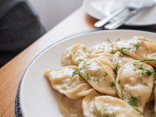 Vegetable gyoza with dill served on white plate: delicious plant-based dumplings