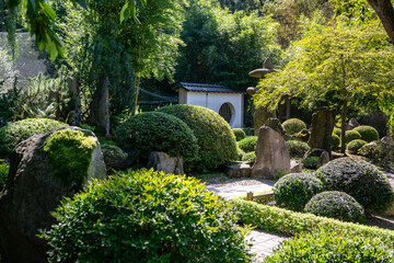 Fototapeta premium A Japanese garden full of stones and bonsai bushes. A peaceful and well-maintained park in the Asian style.