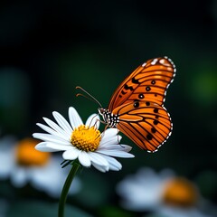 Obraz premium A vibrant orange butterfly resting on a delicate white flower, showcasing the beauty of nature. The contrasting colors create a striking image full of life and serenity.