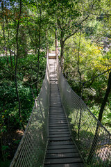 Obraz premium Rope bridge in the jungle, suspended from trees among dense vegetation. Footbridge on a hiking trail in the forest in a tropical area.