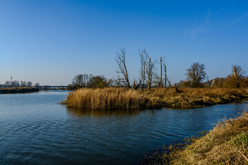 Am Donau-Altarm bei Bogen/Niederbayern