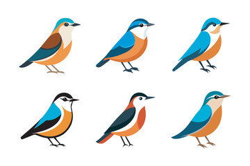 Cute Nuthatch Birds Illustration Bundle. Adorable Nuthatch bird illustrations, perfect for nature-inspired designs, posters, greeting cards, and creative projects.