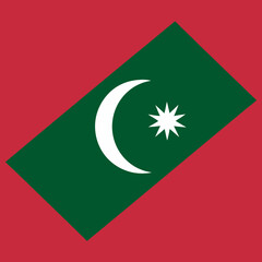 Maldives Flag: Red background with a green rectangle and a white crescent in the center.
