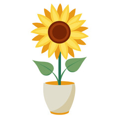 Obraz premium sunflower