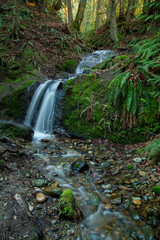 A small waterfall located in Washington State at the Chuckanut Drive Scenic Byway. A beautiful part of America’s Pacific Northwest.