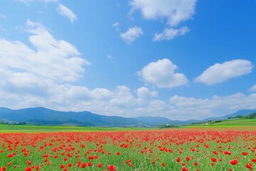 Vibrant red poppy field under a bright blue sky with fluffy white clouds near rolling hills. Generative AI