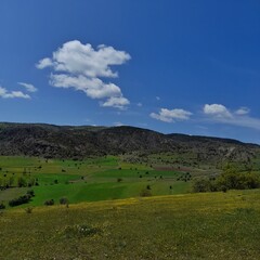 Obraz premium A wide valley covered with yellow flowers and greenery, hills rising in the distance and a clear blue sky.