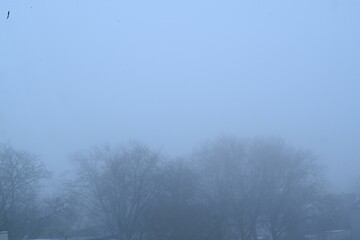 Obraz premium foggy day