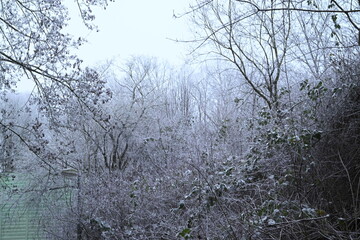 Winter trees colg indistrie place ruhrgebiet