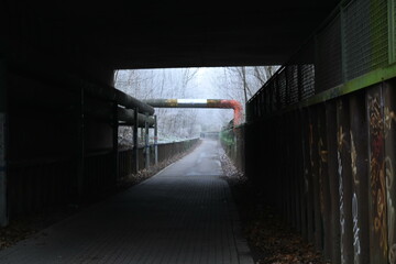 Winter trees colg indistrie place ruhrgebiet