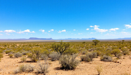 Fototapeta premium Vast Desert Landscape Under a Clear Blue Sky
