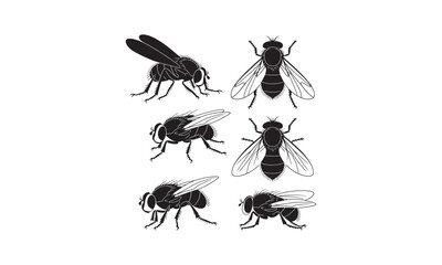 Collection of fly illustrations featuring detailed silhouettes showcasing wings, legs, and body textures in different views.