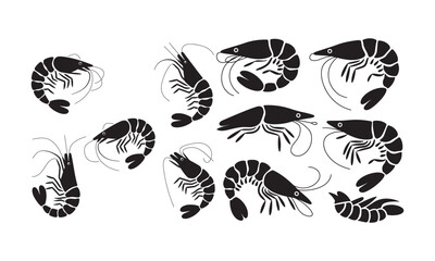 Shrimp and Prawn Illustrations in Black Silhouettes and Colorful Designs