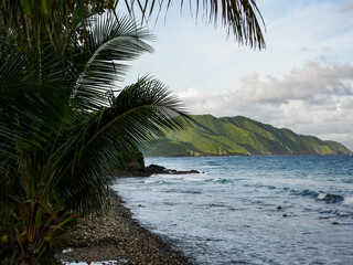 Palm Tree and Rough Waves looking at Hams Bluff