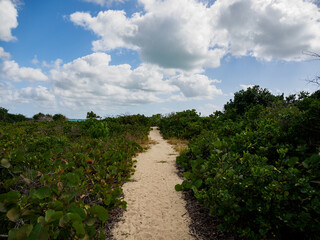 Pathway to the Beach at Sandy Point Beach