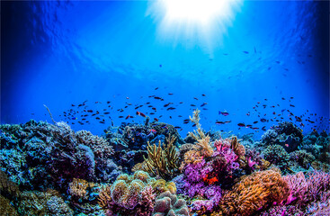 Fototapety na wymiar - Fototapeta24.pl