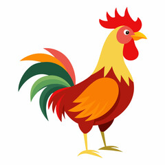 rooster isolated on white background