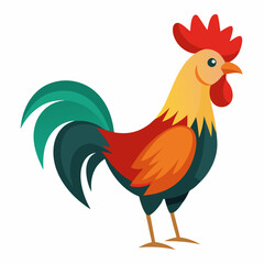 rooster isolated on white background